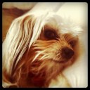 may wright - @wrightpie - Twitter