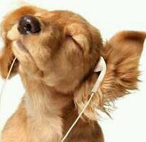 _Adorable_Pets_ Profile Picture