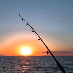 rickxtac's profile picture. 