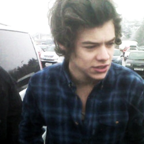 nowhoran_'s profile picture. only one band following one dream on just One Direction.