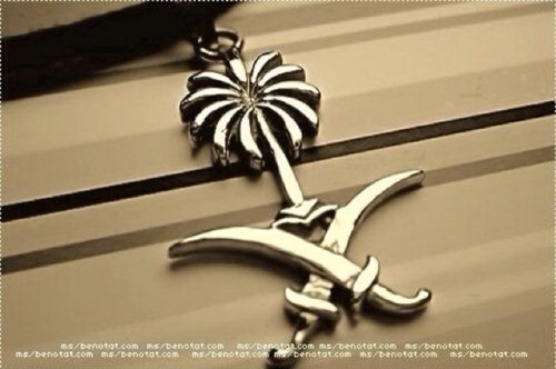 MohammedSaudi1's profile picture. 