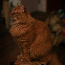 zschleyin's profile picture. energy aficionado, technology hoarder, music enthusiast and frequenter of white mountains.