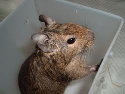 leythestosly's profile picture. アニマル浜口さんに愛らしさ感じるはわたしだけでしょうか！！！？