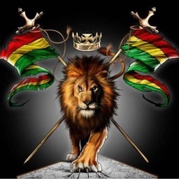 Radio El Yeffe !!  A free streaming radio station featuring Roots Reggae, Soca and Dancehall!