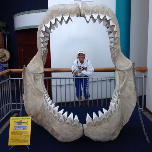 sabrina_danae's profile picture. 