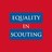 Equal Scouting