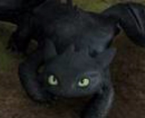 the rarest dragon.