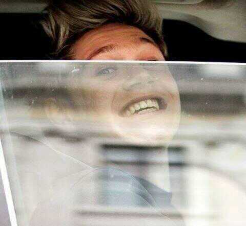 TheIrishNiallHo's profile picture. i love a guy named Niall Horan he's Irish and he's from a band named One Direction I love Niall, Zayn, Liam, Harry, and Louis♥♥ And i Follow Back