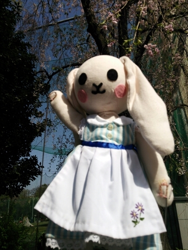 学習院大学 児童文化研究会さんのプロフィール画像