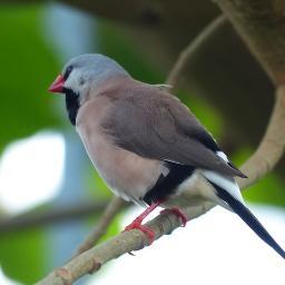 ebooklibrary194's profile picture. 人気電子書籍の特集！電子書籍好きな方集まれ！！相互フォロー大歓迎です！#相互フォローの輪 #リフォロー #フォロミー #フォロー返し #相互フォロー募集