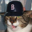 Melanie Lynch - @ospreymaven - Twitter