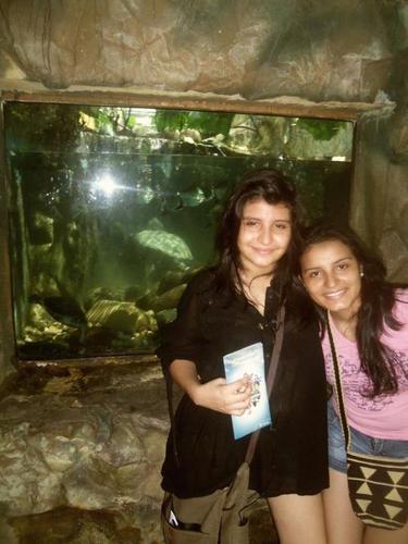 Mi vida se resume en Dios y en mis ídolos, Lovatic ~ Jonas Fan :)