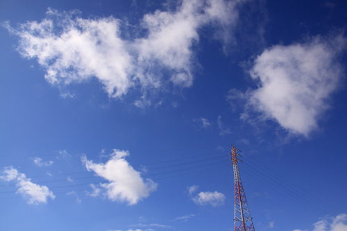 umbeselselris's profile picture. どもｯｯ(ﾉ*´_Ｕ｀)ﾉ