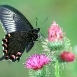 bong054's profile picture. 