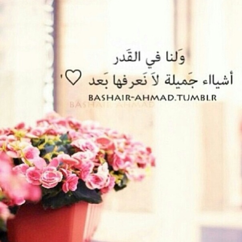 ﺂللَّہٌمَّ أَشْغِلْنِيۓِ بِذِگرِگ عَنْ گلّ ذِگر♡