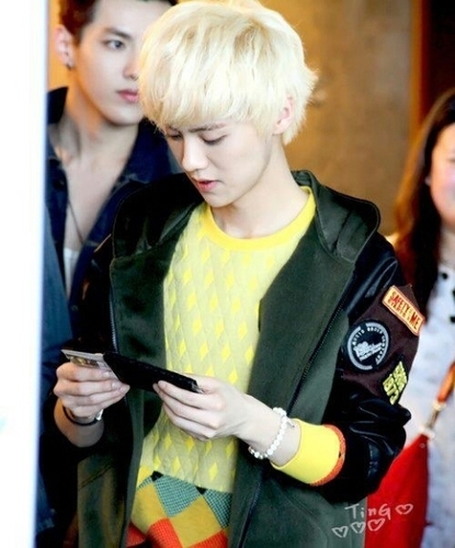 อันยอง ผมเสี่ยวลู่ EXO-M ผมหล่อ & สวยที่สุดในเอ็กโซ่ #ห๊ะ พูดน้อย อัธยาศัยดี บ้านไม่มี 3G ครอบคลุม #PLASTICFAM