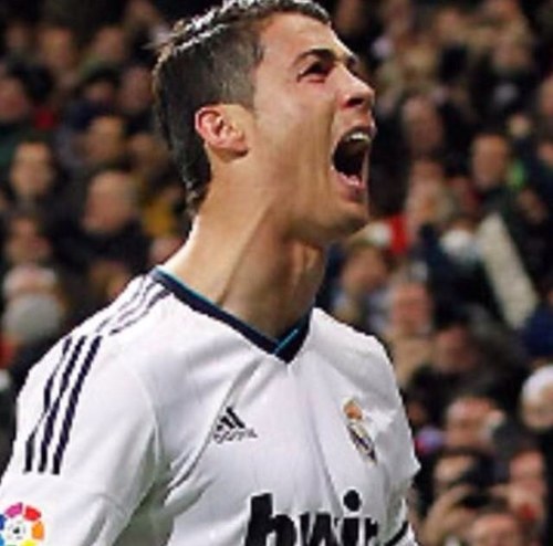 ssoa_sso's profile picture. 