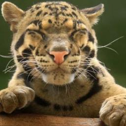 kjh850203's profile picture. 