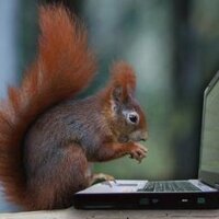 Irina (@tokira06) 's Twitter Profile Photo