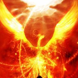 iamstg's profile picture. 