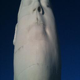 Bpgallagher10's profile picture. 