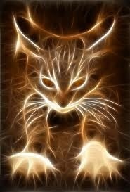 Animals and nature