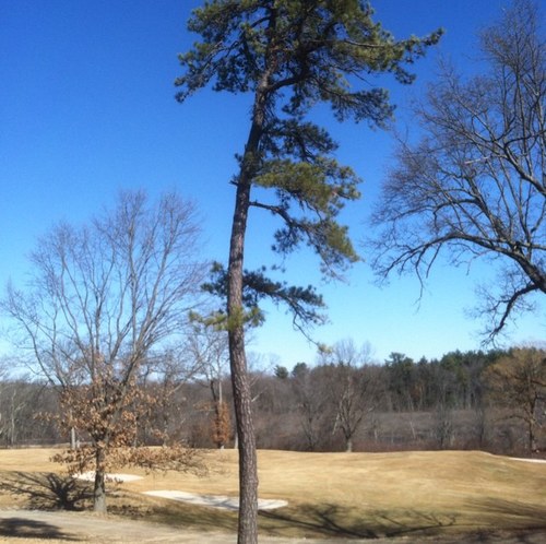 Since 1910, we've been an iconic private club in the New England golf scene.
This account is run by Grounds staff and is intended to be a look at daily routines