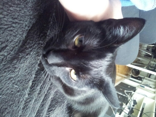 malak385's profile picture. 