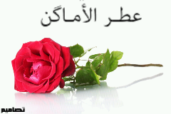 76325938's profile picture. الشخص قليل الكلام...يجذب الانتياه عندما يبدا بالتحدث.....عطـر الاماكن..3