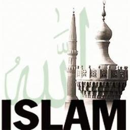 muslims13's profile picture. I'm here to ask smart of you .... What is the correct Religion that [Islam]
Do you want to show you this Follow me