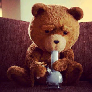 Soy Ted el oso guarroso,cabron,fumeta llamame como quieras pero si lees esto sigueme de una puta vez hago dimamicas Followback