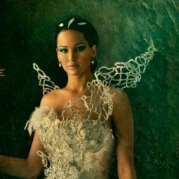 Hunger Games Fans!?