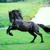 ArndBronkhorstFoto (@arndnl) Twitter profile photo