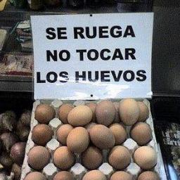 Aqui, aprendiendo y disfrutando.Otra cerveza, por favor.  De inglés poco.  De ingles intento aprender.