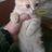 Lyahoven's profile image