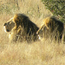 Stuart Melvin - @Stuart_m_72 - Twitter