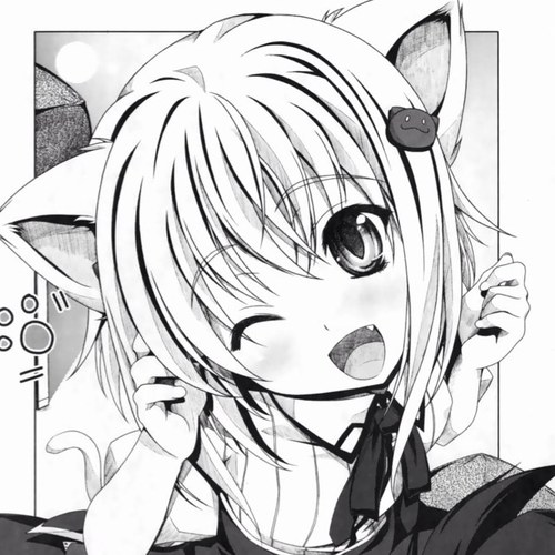 猫。さんのプロフィール画像