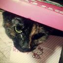 Susie McCall - @SusieMcCall2 - Twitter