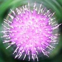 Meshed Insights Ltd (@meshedinsights) 's Twitter Profile Photo