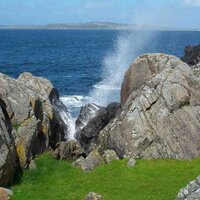 duke (@dukef) 's Twitter Profile Photo