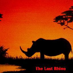 Awareness of the plight of the rhino throughout the world is paramount to us all.