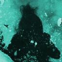 Wendy Stephens - @wendybirdnever - Twitter