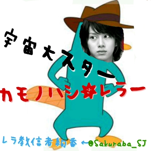 96line 일본 SUPER JUNIOR/혁철 SMF 써니 / 気づいたらこんなに長く追ってました。 いわゆる古参ってやつですね 언제까지도 슈주야