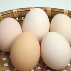 netel2828's profile picture. 気軽にフォローしてください