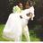 orga_walter's profile image