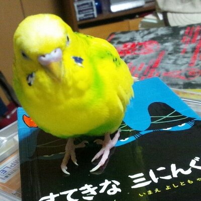 山口秀法