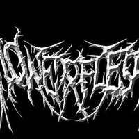 FlowerFlesh Official (@flowerfleshbali) 's Twitter Profile