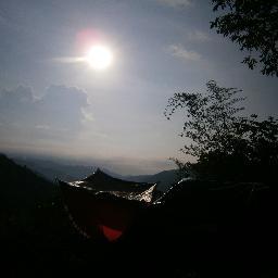 yamsnlor98's profile picture. 