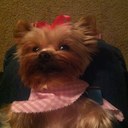 Jackie Hurst - @hurst_jackie - Twitter