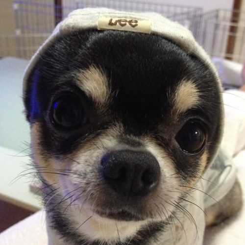 Tkjs0429's profile picture. 